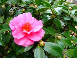 20091119.jpg