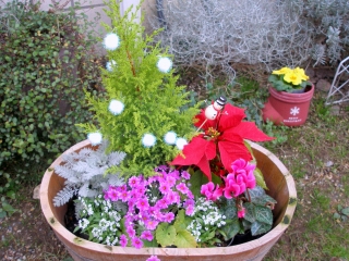 20091222.jpg