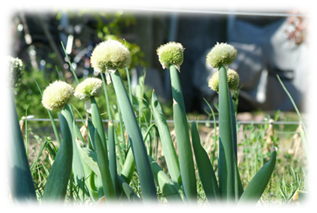 20100428.jpg