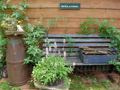 20100603_01.jpg