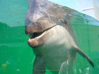 20100910_02.jpg