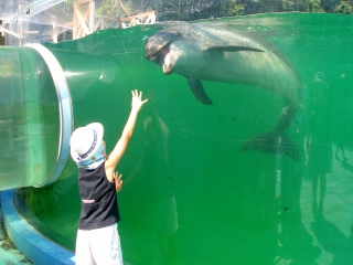 20100910_04.jpg
