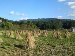 20101109_01.jpg