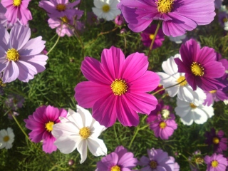 20101109_06.jpg