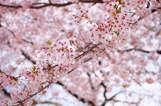 20120419_01.jpg