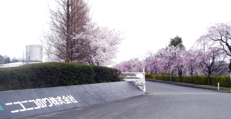 20140331_01.jpg