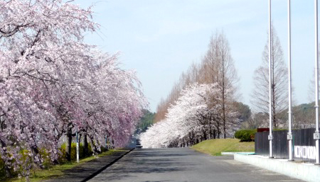 20140331_02.jpg